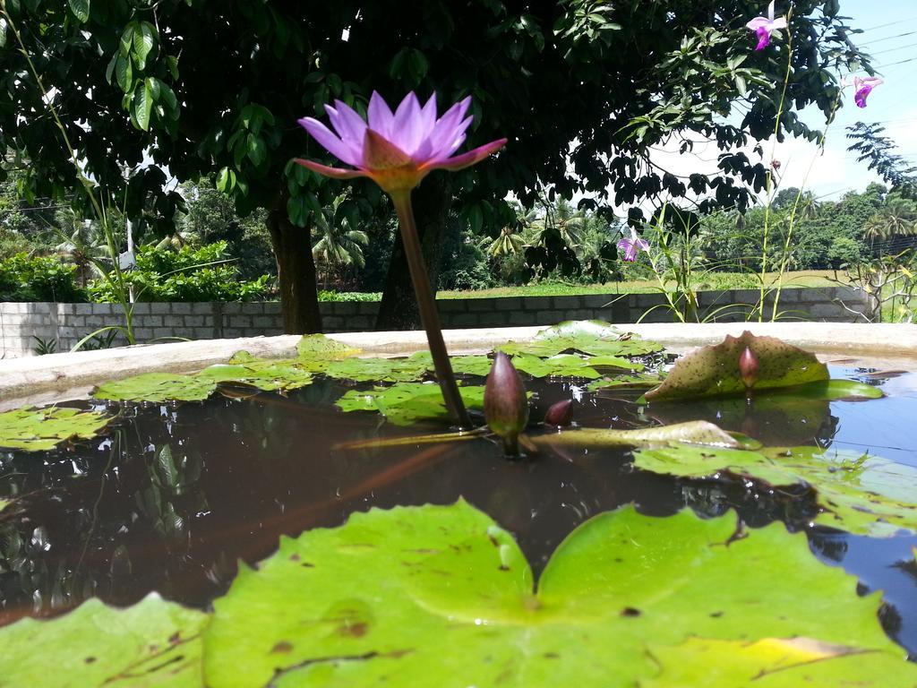 Villa Cinnamon Hills Galle Luaran gambar